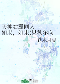 天神右翼同人----如果,如果(贝利尔向短完)