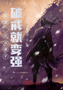 北凉之主小说