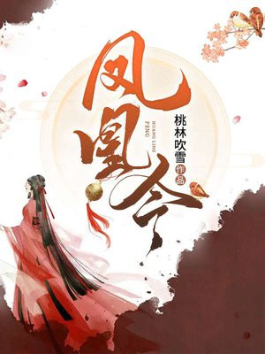 凤凰令3d图谜