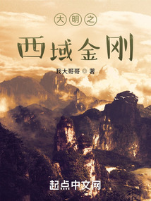 重生西域大明王小说