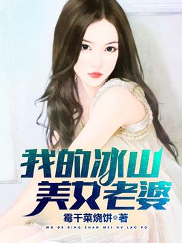 我的冰山美女老婆下载全文