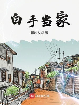 白手当家小说
