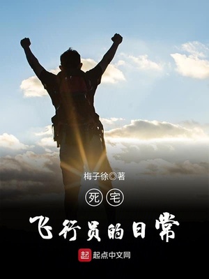 死宅飞行员的日常 阅读