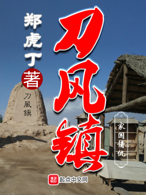 刀风镇小说