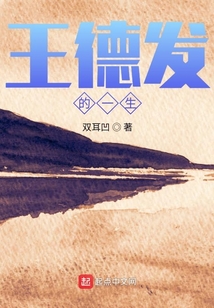 王德发的一生txt