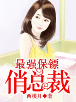 最强保镖俏总裁TXT下载