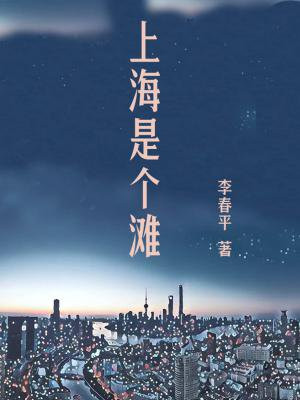 上海是个滩小说