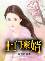 上门豪婿完整版