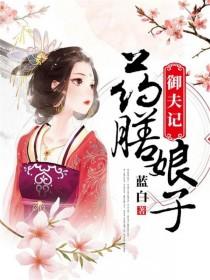 药膳娘子御夫记百度网盘下载地址