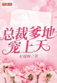 总裁爹地宠上天慕司寒免费阅读