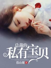 总裁的私有宝贝txt