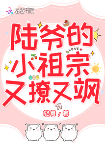 陆爷的小祖宗又撩又飒txt百度网盘