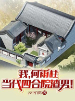 四合院渣男何雨柱小说
