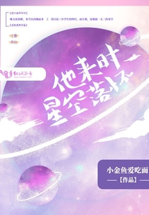 他来时星空落怀免费阅读
