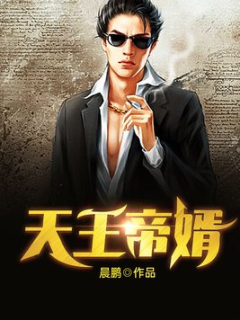 天王帝婿赵苍穹全文免费阅读