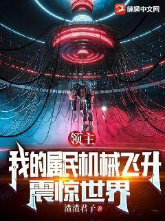 我是机械领主