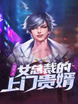 女总裁的上门贵婿