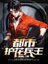 都市护花兵王 金元宝本尊TXT