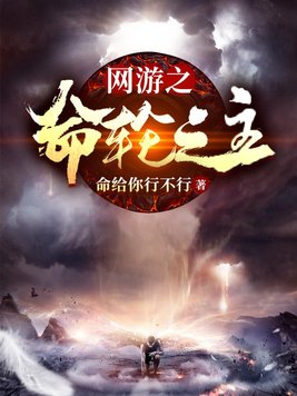 网游之命轮之主 小说