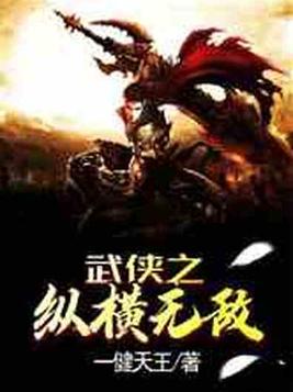 武侠之纵横无敌 小说TXT