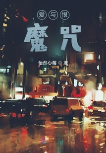 小说爱与恨