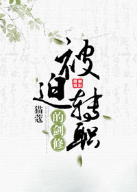 被迫转职的剑修TXT下载百度网盘