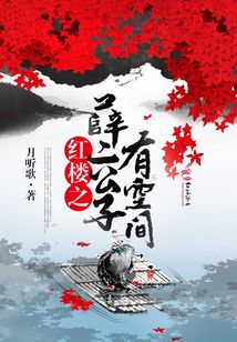 红楼之薛二公子有空间的小说