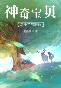 神奇宝贝之小智的旅行免费阅读
