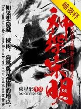神探秦明