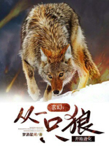 玄幻:从一只狼开始进化百度百科