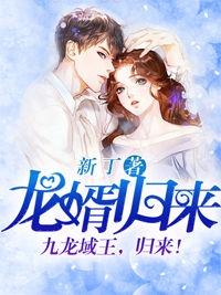 龙婿归来叶凡短剧视频全集
