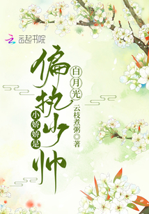 偏执少帅独宠小娇娇全文阅读
