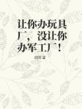 让你办玩具厂,没让你办军工厂!