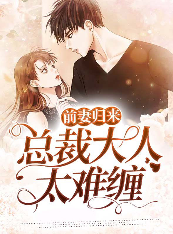 前妻归来:总裁大人太难缠小说