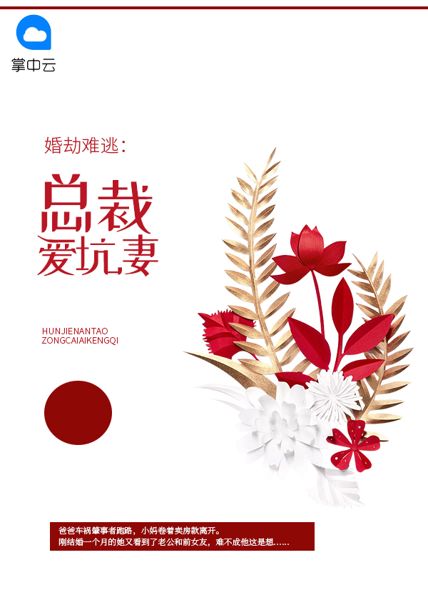 总裁劫个婚