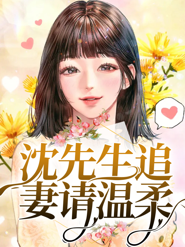 沈先生的追妻计划