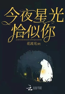 今夜星光恰似你歌词