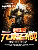 网游之元素召唤师