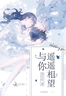 与你遥遥相望免费阅读