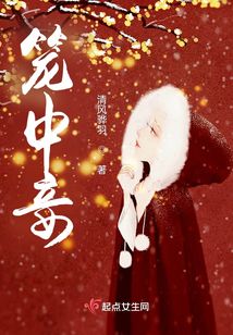 笼中妾小说