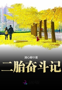 二胎奋斗记漫画