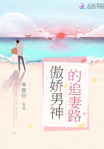 傲娇男神的追妻路
