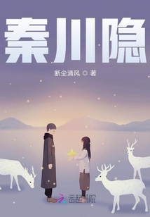 秦川隐沈知意小说