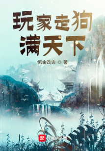 玩家走狗满天下