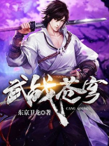 武战苍穹下载