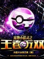 宠物小精灵之冠军