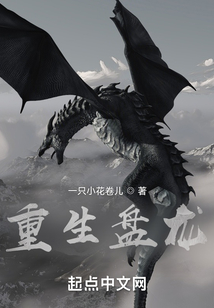 重生盘龙之风行天下