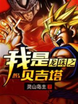 龙珠之我是贝吉塔资源