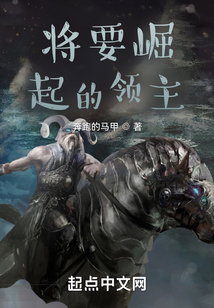 将要崛起的领主