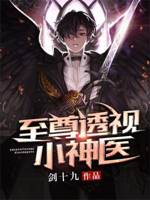 至尊透视神医陈昊